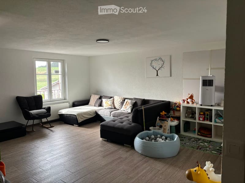 Modern living room with a sectional sofa, ottoman, rocking chair, air conditioner, dog bed, and various toys.