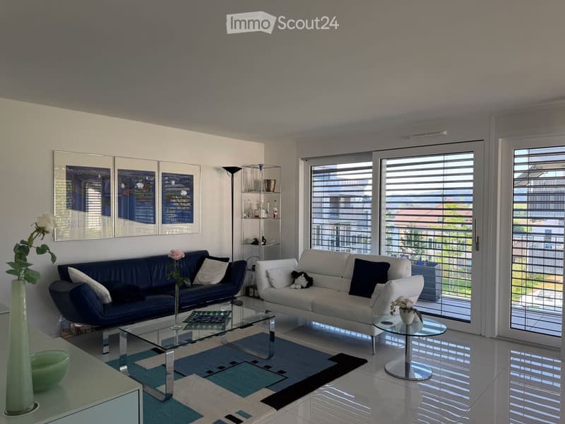 Modern living room with large windows and a balcony view, featuring a blue sofa, white sofa, glass coffee table, side table, vase with flowers, shelf, and a cat.