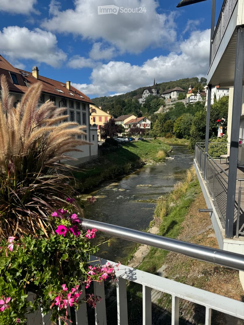 Balcony overlooking a river with a town in the background, featuring flowers and a railing.