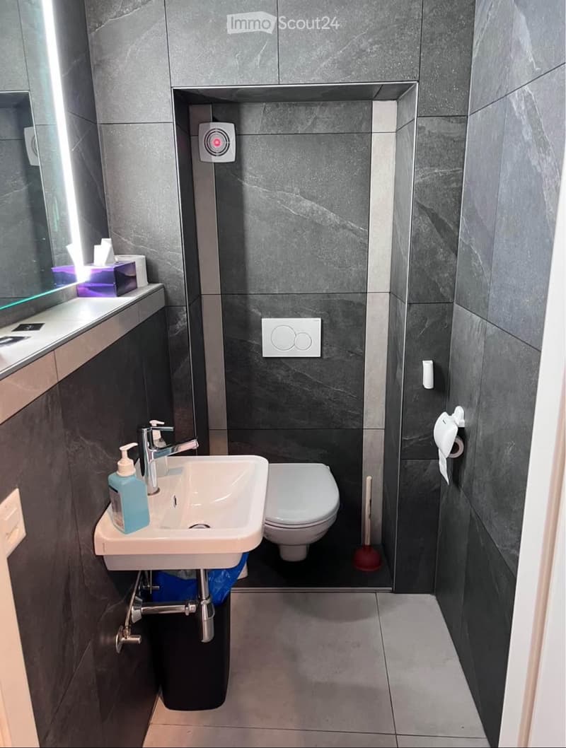 Modern bathroom with dark grey tiles, white sink, chrome faucet, toilet, and toilet paper holder. Hand soap and a toilet brush are visible.