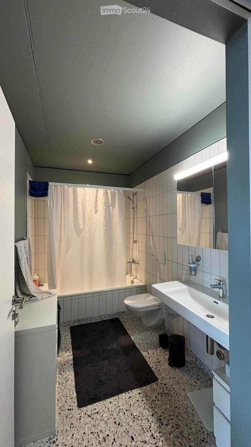Modern bathroom with a bathtub, toilet, sink, and mirror. Features a shower curtain, towels, a dark bathroom rug, and a trash bin.