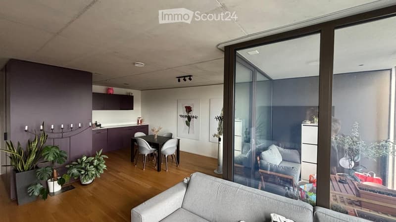 Modern open-plan living and dining area with grey sofa, dining table with chairs, kitchen cabinets, candle holder, and potted plants.