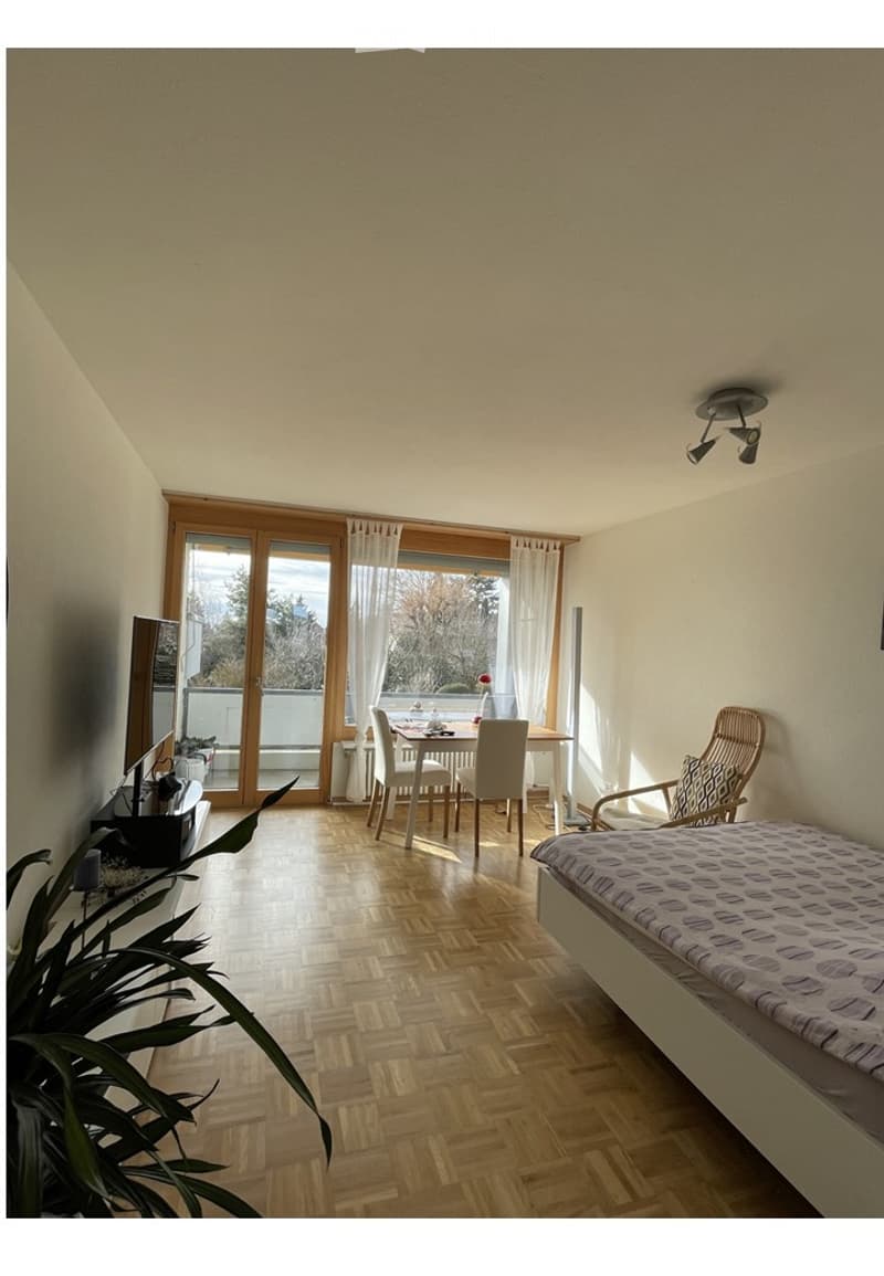 Bright, open room with wooden flooring, large windows, and a balcony. Features a bed, dining table with chairs, a mirror, and a potted plant.
