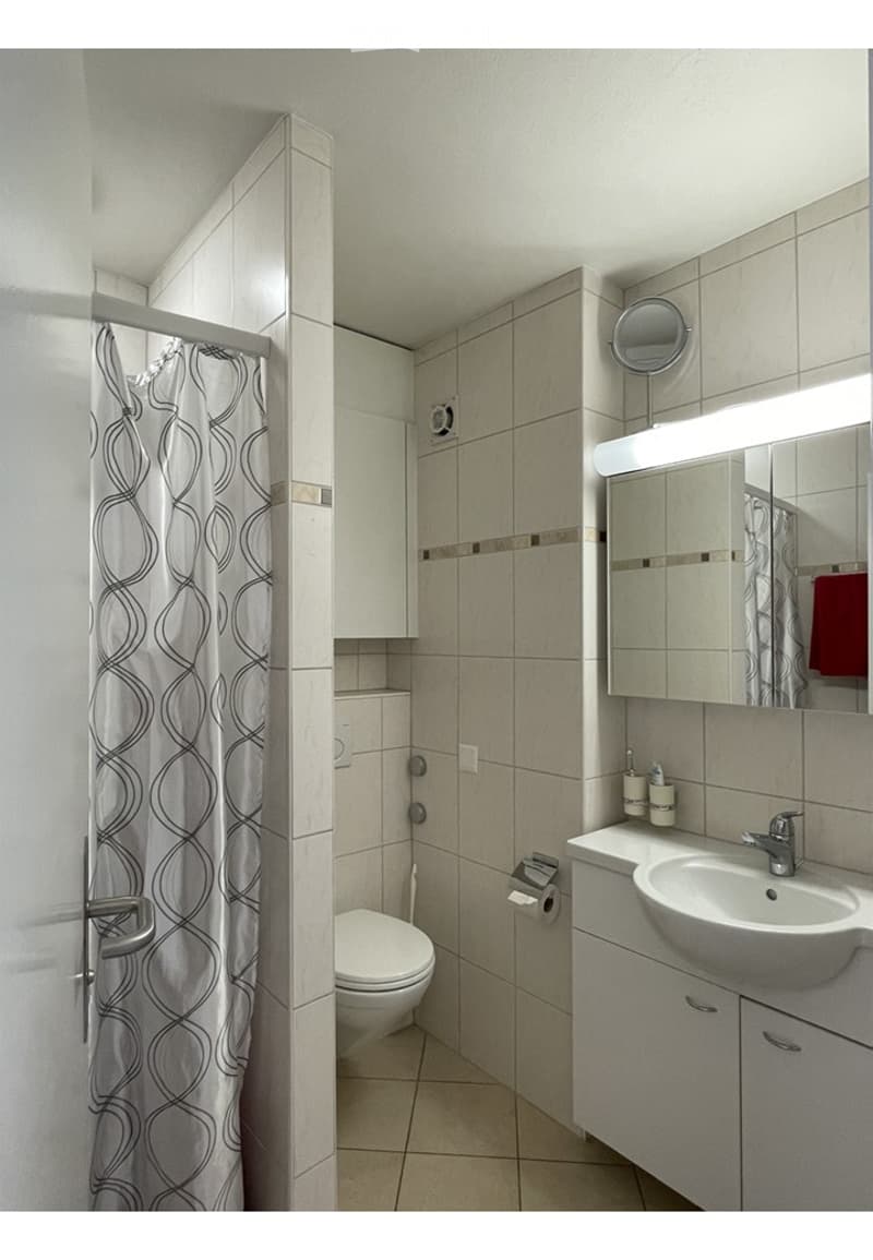Modern bathroom with a toilet, sink, mirror, and shower curtain. Features tiled walls and a small cabinet.