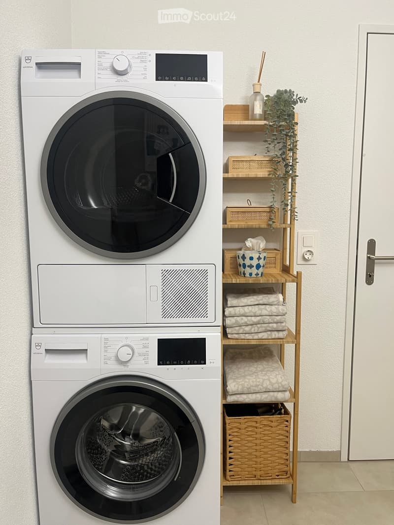 A modern bathroom with a stacked washing and drying machine unit on the left and a wooden shelf with towels, a plant, and a decorative bottle on the right.