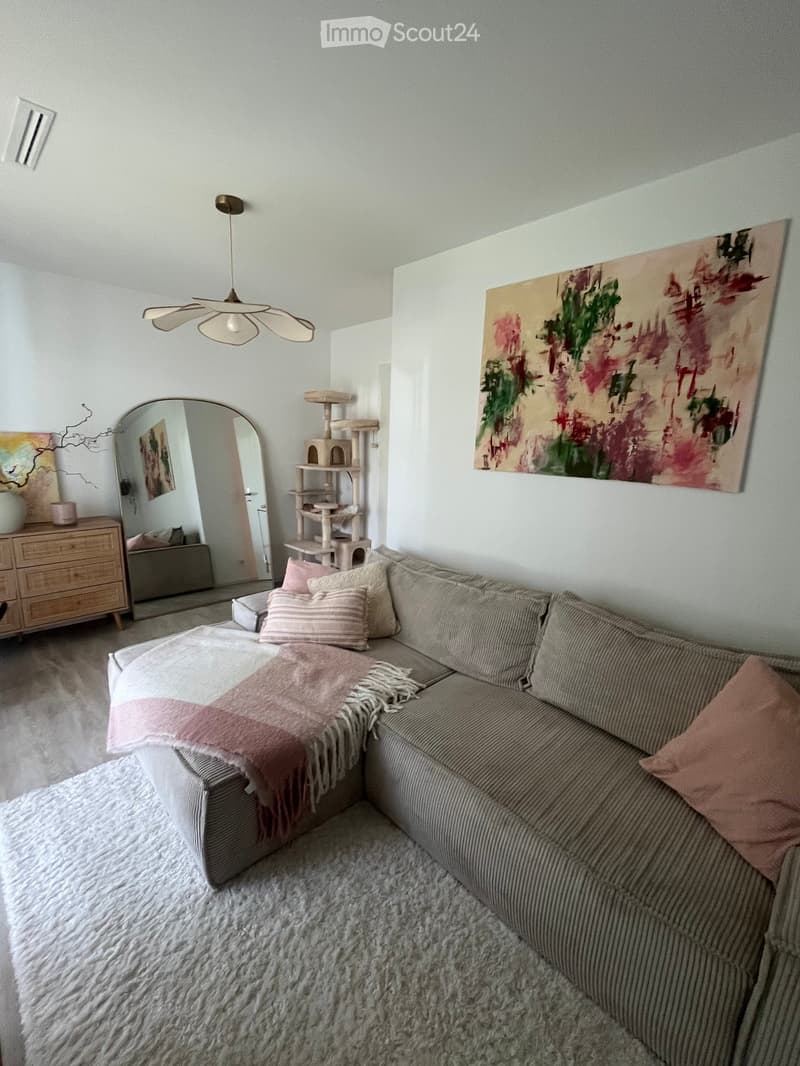 A cozy living room with a grey sectional sofa, pink pillows, a soft blanket, a cat tree, a large mirror, a wooden dresser, and abstract artwork on the walls.
