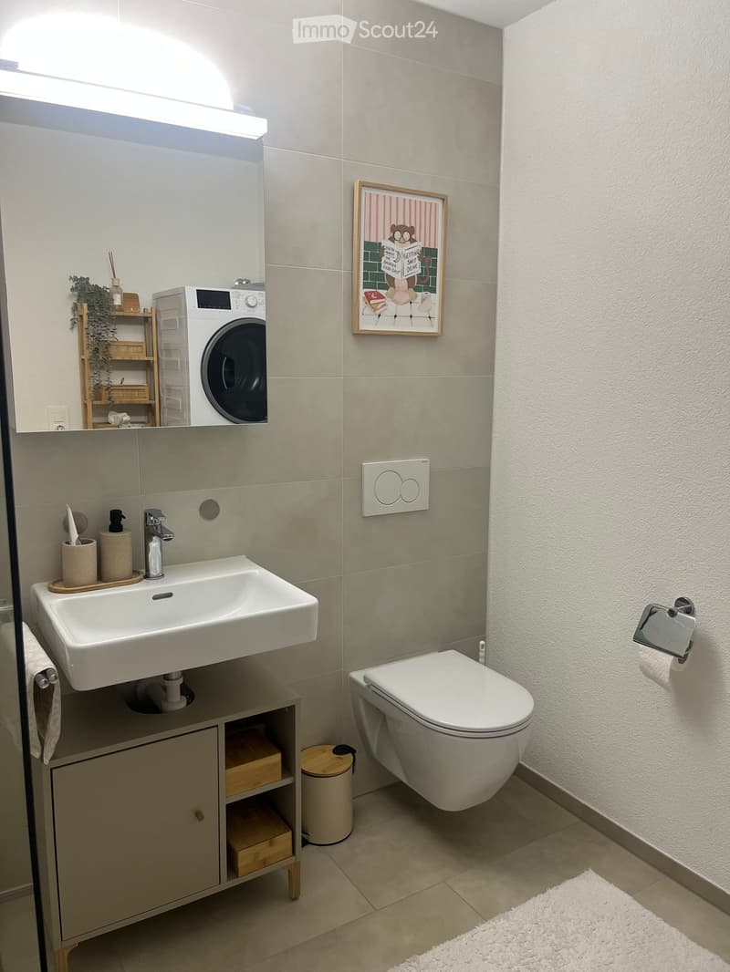 Modern bathroom with a white sink, toilet, and cabinet. Features a mirror with a built-in shelf, a framed picture, and a washing machine visible in the reflection.