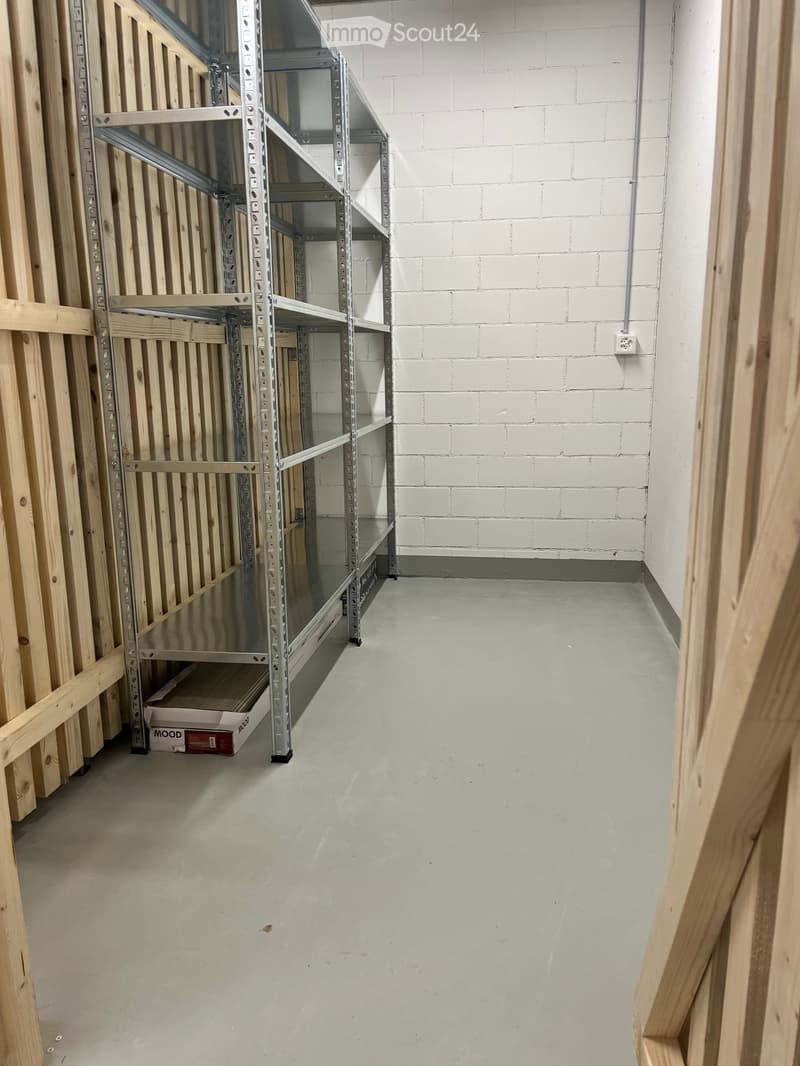 Empty room with unfinished walls and floor, featuring a metal shelving unit and wooden framing on the walls.