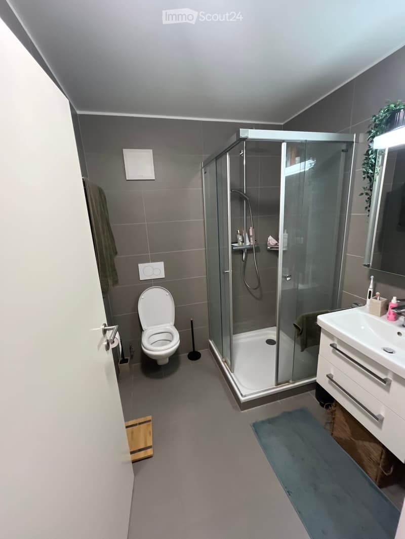 Modern bathroom with grey tiles, a glass-enclosed shower, a toilet, a sink with a cabinet, and a towel on the floor.