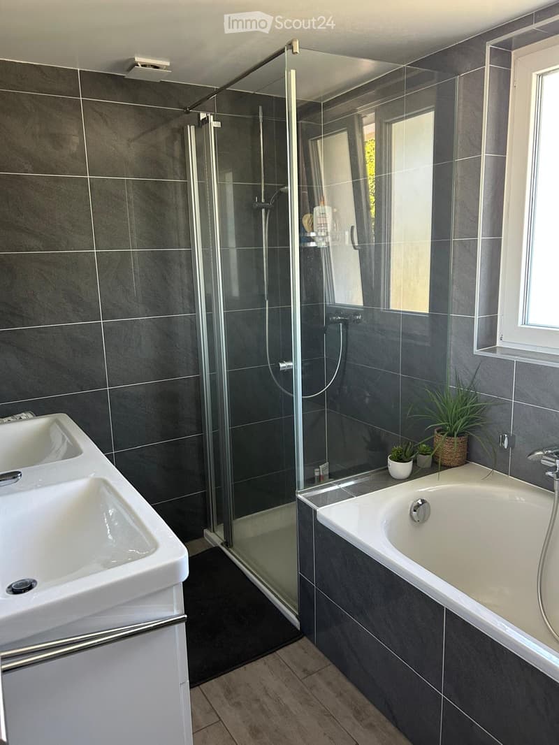 Modern bathroom with dark grey tiles, a large bathtub, a double sink, a glass-enclosed shower, and a small potted plant on the windowsill.