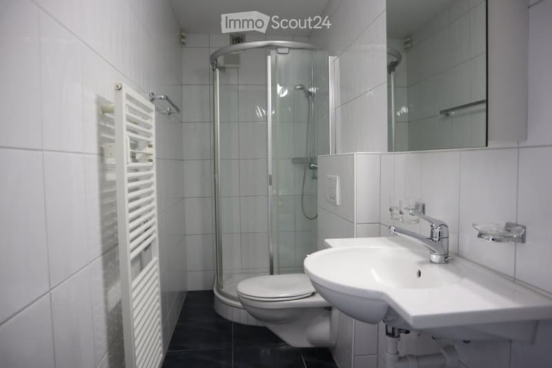Modern bathroom with white tiles, a shower stall, a toilet, a sink with a modern faucet, a mirror, and a radiator.