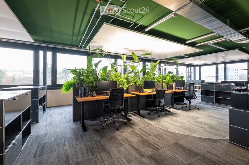 Modern office space with multiple desks, chairs, computers, and large potted plants near large windows.
