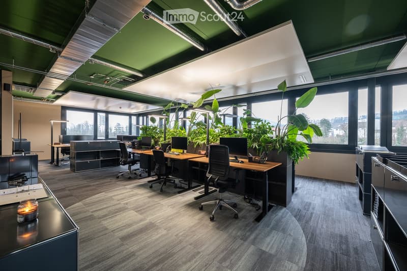 Modern office space with desks, chairs, computers, large windows, and indoor plants.