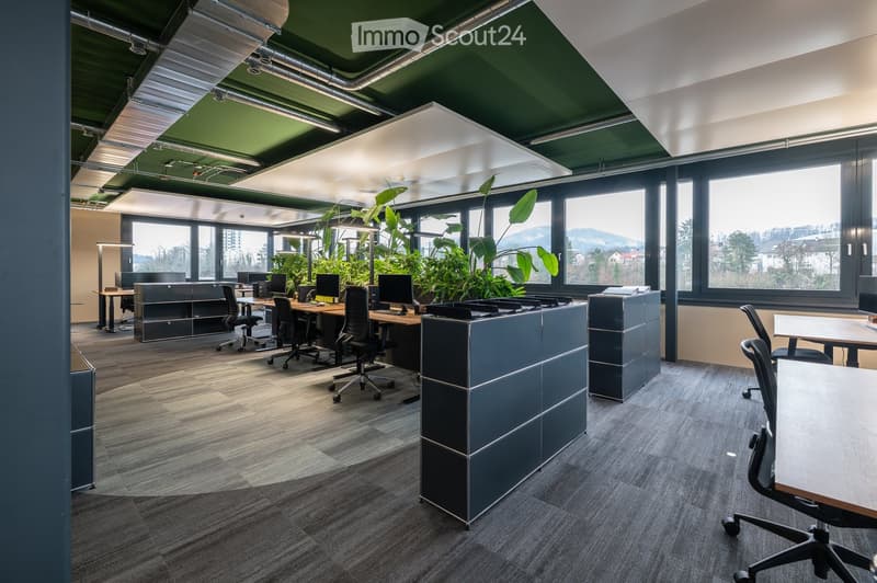 Modern office space with desks, chairs, computers, and large windows offering a scenic view. Features include grey carpeting, grey cabinets, and indoor plants.