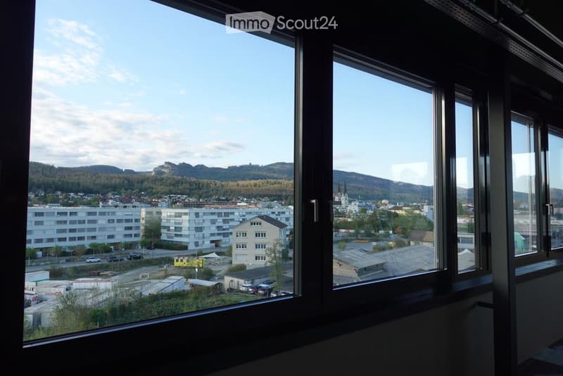 View from a room with large windows showing a cityscape, buildings, and distant mountains.