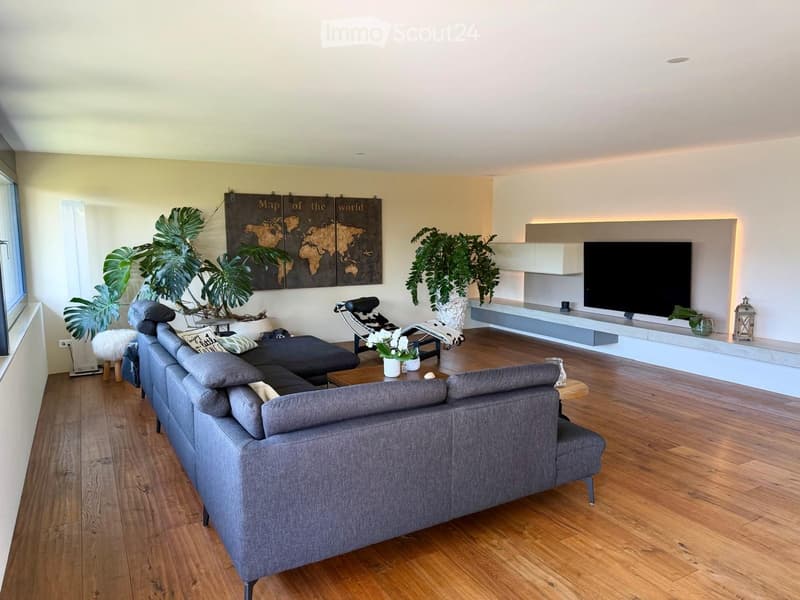 Modern living room with grey sectional sofa, coffee table, TV, and decorative plants.