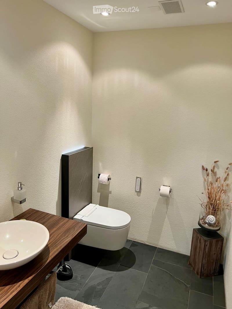 Modern bathroom with a toilet, sink, and decorative vase on a wooden stand. The walls are light-colored, and the floor is dark tiled.