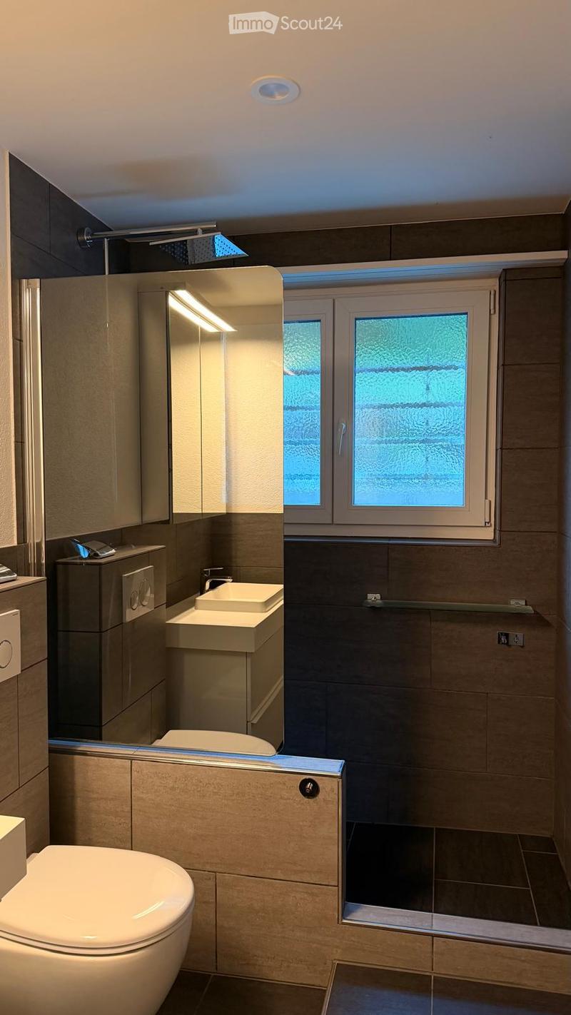 Modern bathroom with a toilet, sink, mirror, and shower. Features dark tiles, a frosted window, and built-in cabinets.