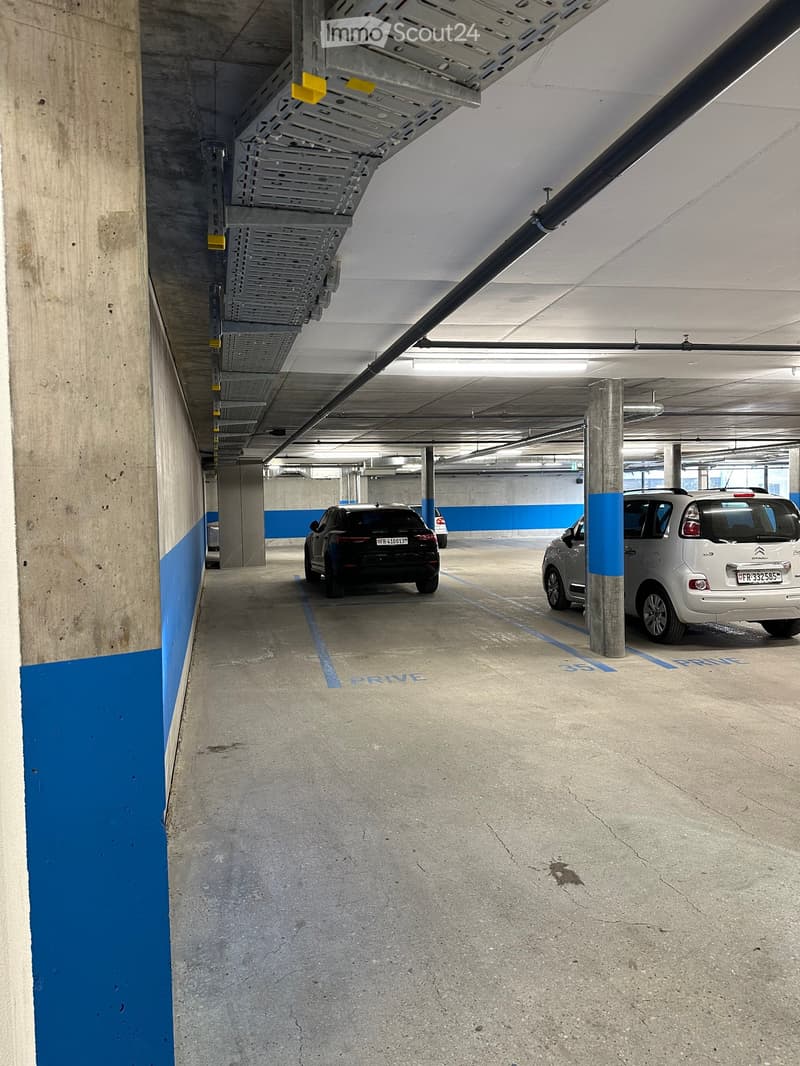 Underground parking area with concrete pillars, marked parking spaces, and two parked cars.