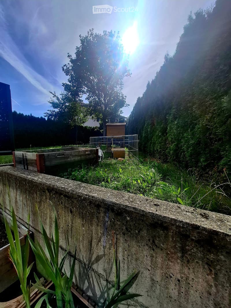 A garden area with a raised concrete wall, wooden planter, metal cage, and lush greenery.