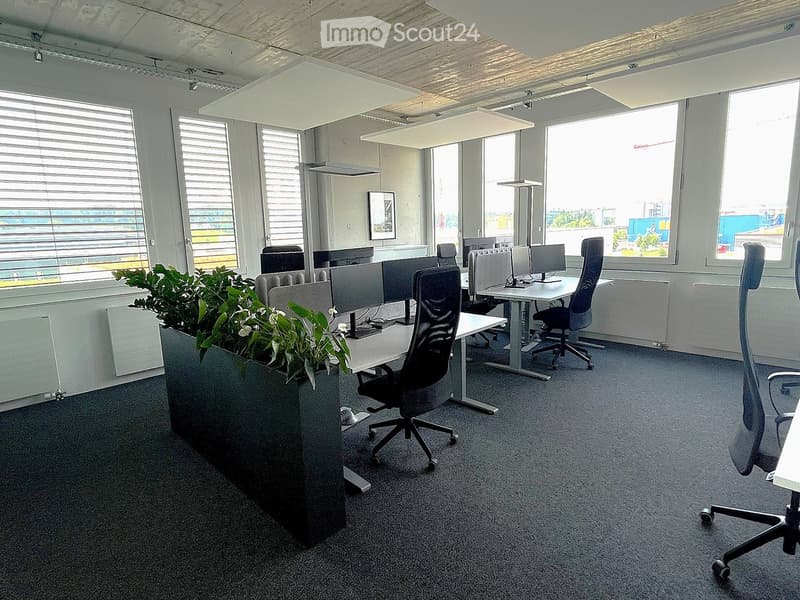 Modern office space with desks, chairs, computer screens, and a large plant divider.