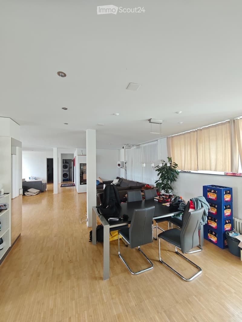 Open-plan living and dining area with wooden flooring, a dining table with four chairs, a sofa, a washing machine, and a potted plant near a large window with curtains.