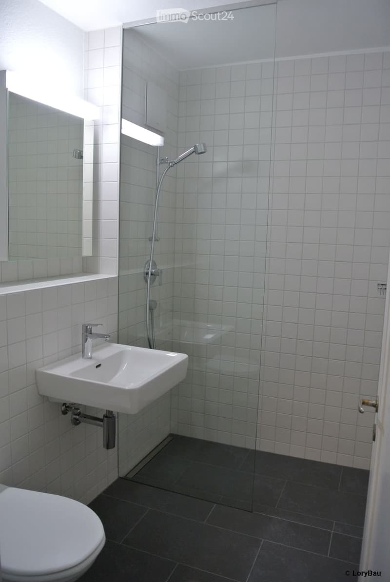 Modern bathroom with white tiled walls, a white sink with a chrome faucet, a toilet, and a glass-enclosed shower with a handheld showerhead.