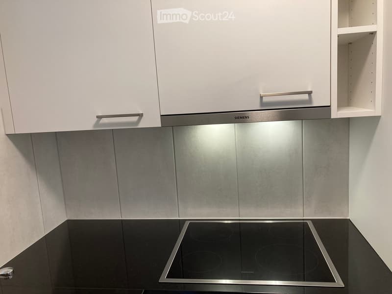 Modern kitchen with white cabinets, stainless steel range hood, and black induction cooktop.