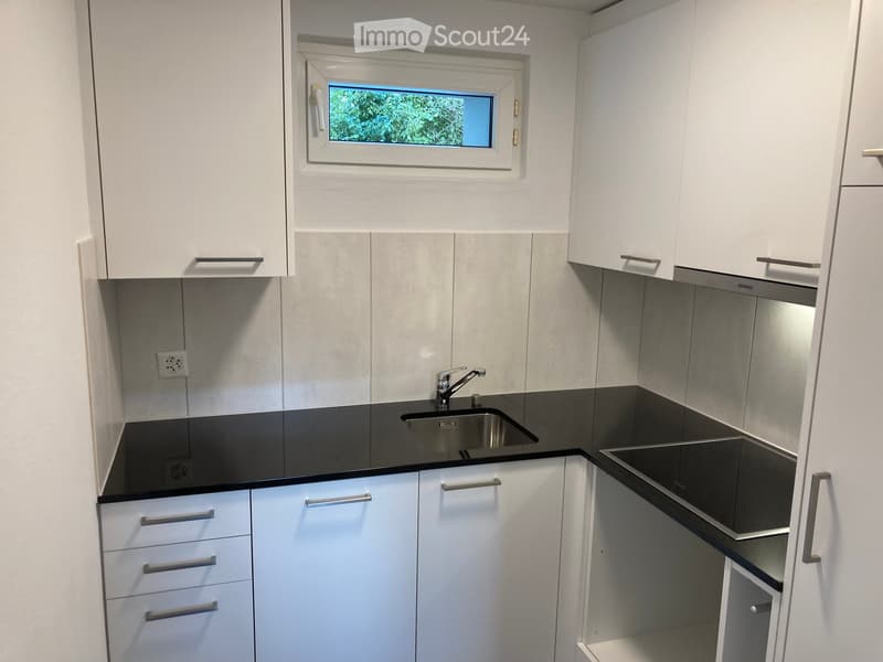 Modern kitchen with white cabinets, black countertops, and a stainless steel sink.