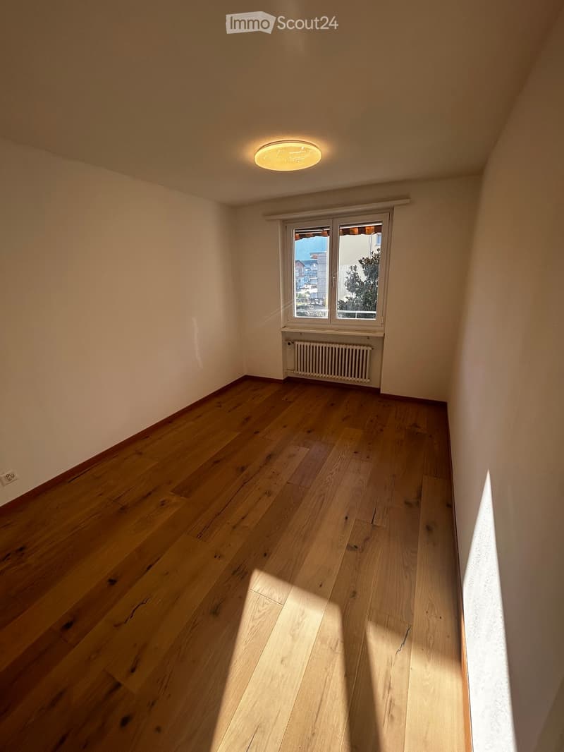 Empty hallway with wooden flooring, white walls, a ceiling light fixture, and a window with a radiator below it.