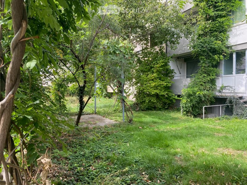 A lush garden area with grass, trees, and a pathway leading to a modern building with large windows and a balcony.
