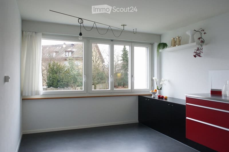 Modern kitchen with dark cabinets, red drawers, large windows, and decorative items on the counter and shelves.