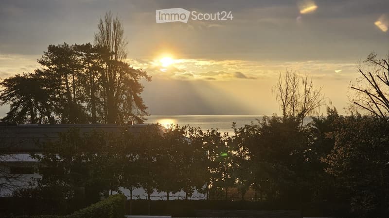 Garden / Outdoor Area. Outdoor view with trees and a body of water, possibly a lake or sea, under a cloudy sky.