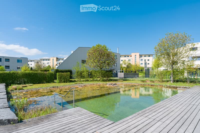 A serene garden area with a small pond surrounded by wooden decking, greenery, and modern buildings in the background.