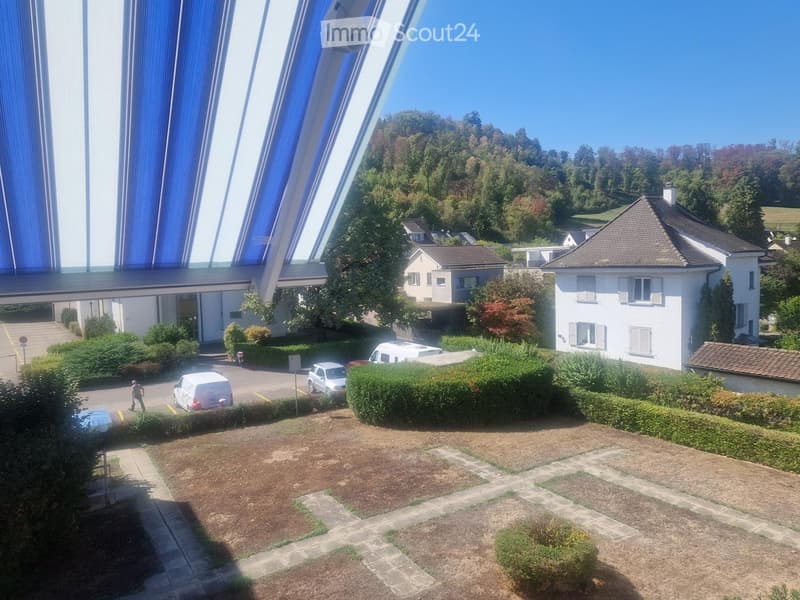 Balcony overlooking a residential area with houses, trees, and parked cars.