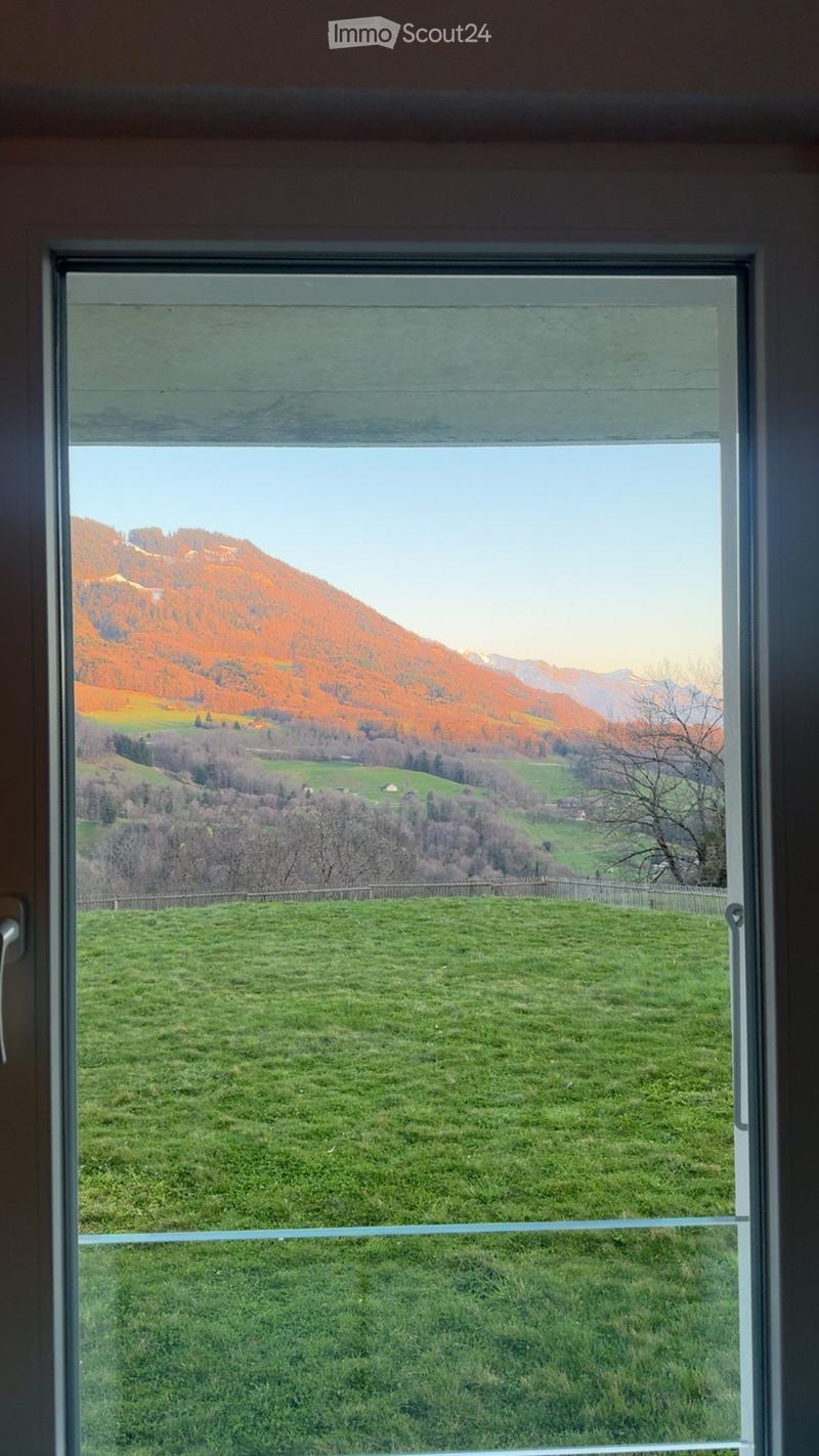 Window view of a green field and distant mountains with autumn-colored trees.