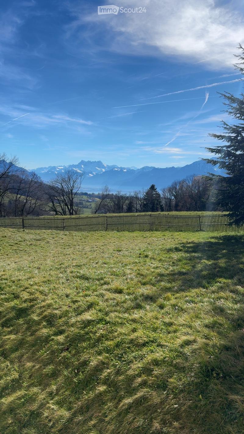A grassy field bordered by a wooden fence, with trees and distant mountains under a clear blue sky.