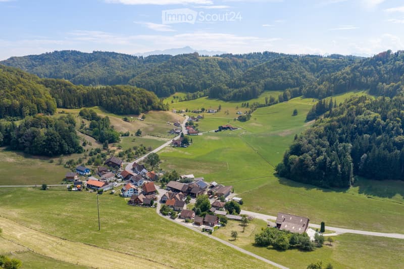 Aerial view of a rural village with scattered houses, surrounded by green fields and forested hills under a clear blue sky.