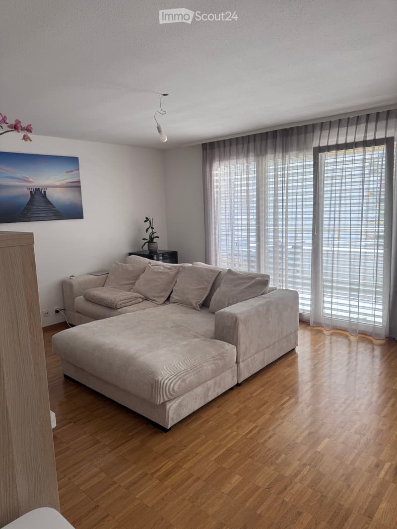 Modern living room with a large sectional sofa, wooden flooring, large windows with blinds, and a painting on the wall.