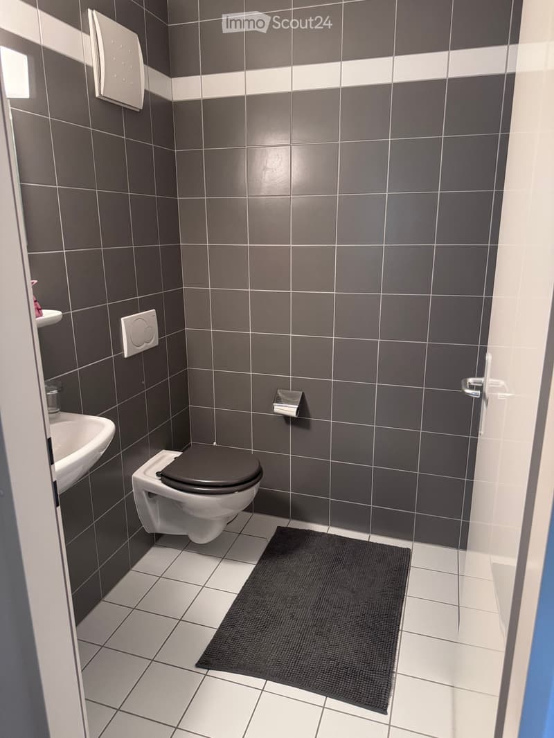 Modern bathroom with dark grey tiles, white sink, toilet, and a black bathroom rug on the floor.