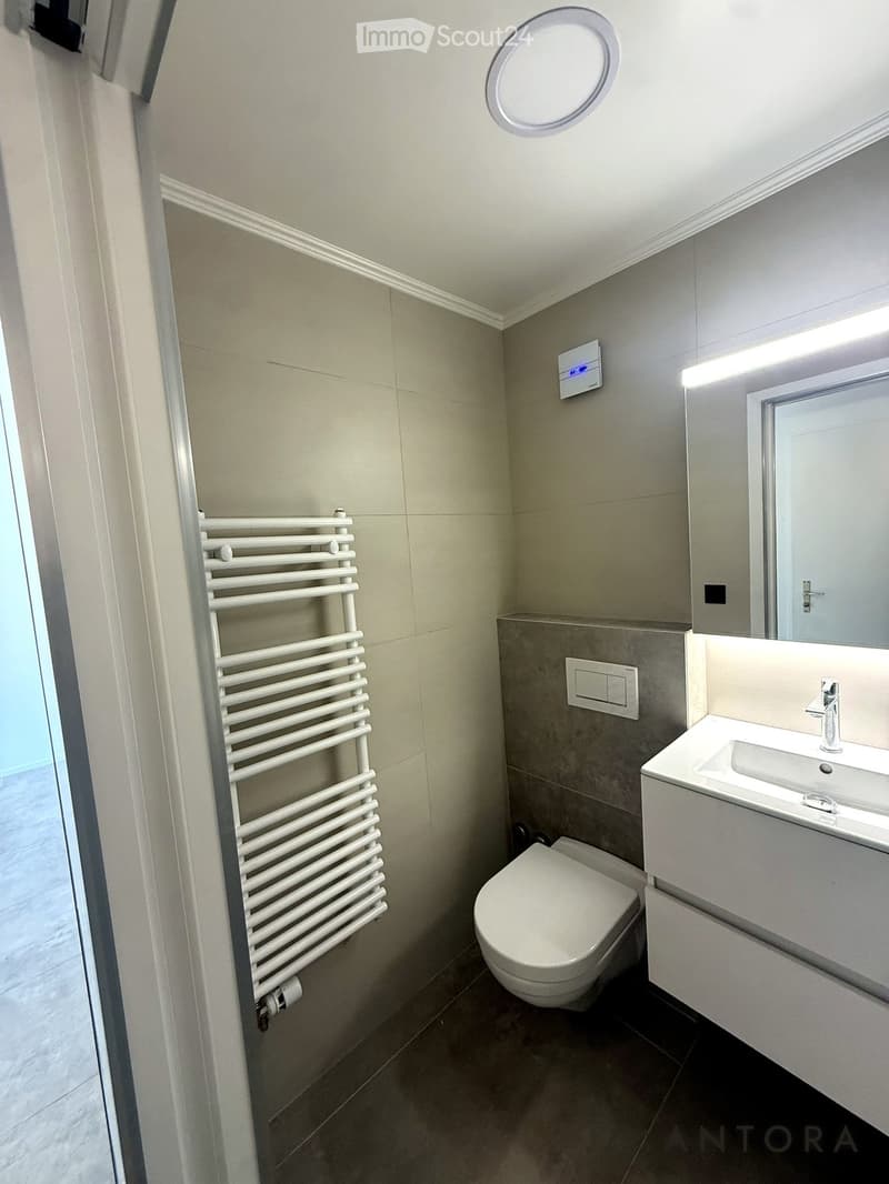 Modern bathroom with a toilet, sink, faucet, and radiator. Features a round skylight and a mirrored cabinet.