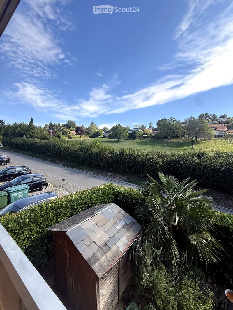Balcony view overlooking a suburban street with parked cars, a small wooden shed, and surrounding greenery including bushes and a palm tree.