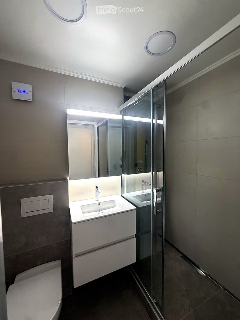 Modern bathroom with a white sink, mirror, toilet, and glass-enclosed shower. Features built-in storage cabinets and sleek fixtures.