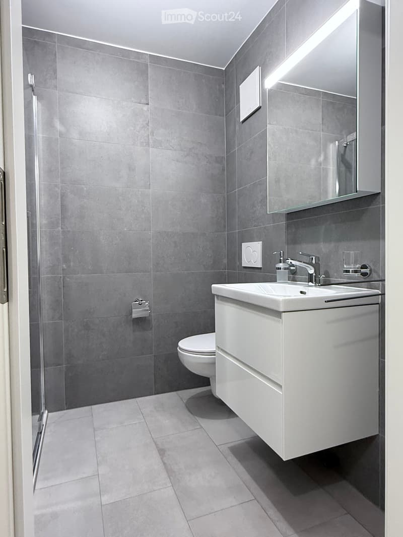 Modern bathroom with grey tiled walls and floor, white sink with chrome faucet, large mirror, toilet, and glass-enclosed shower area.