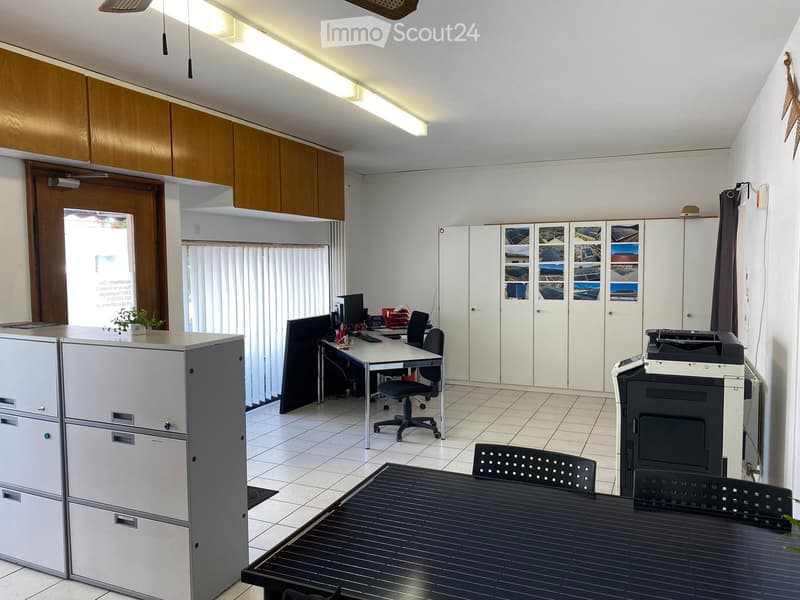 Office space with a desk, office chair, computer, printer, filing cabinet, and a small table with a potted plant.