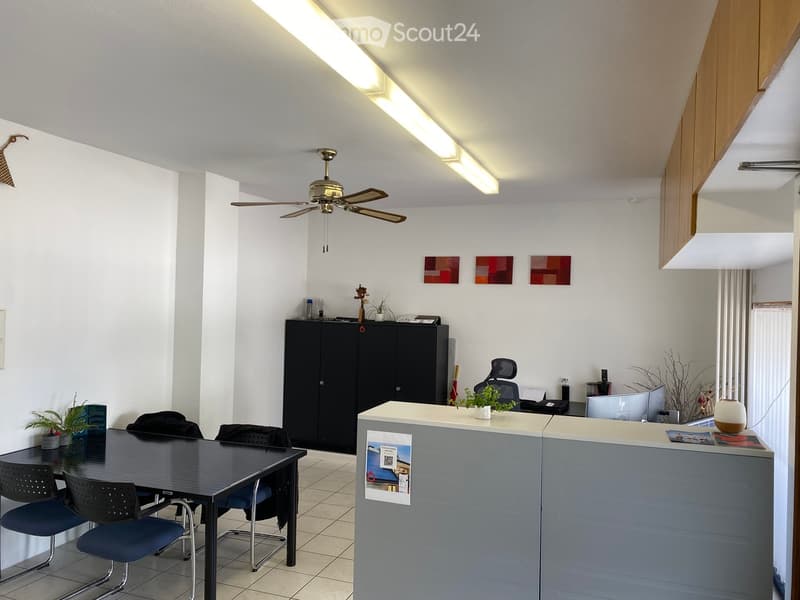 Office space with a reception desk, table, chairs, cabinet, fan, and plants.