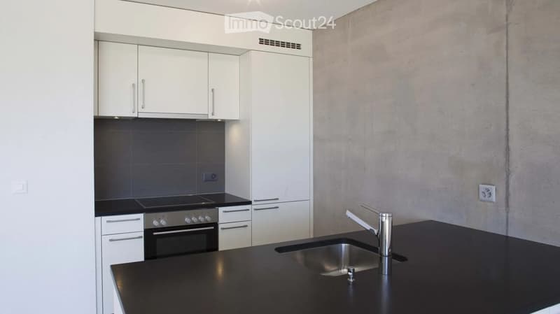 Modern kitchen with white cabinets, black countertops, stainless steel sink and faucet, and built-in oven.
