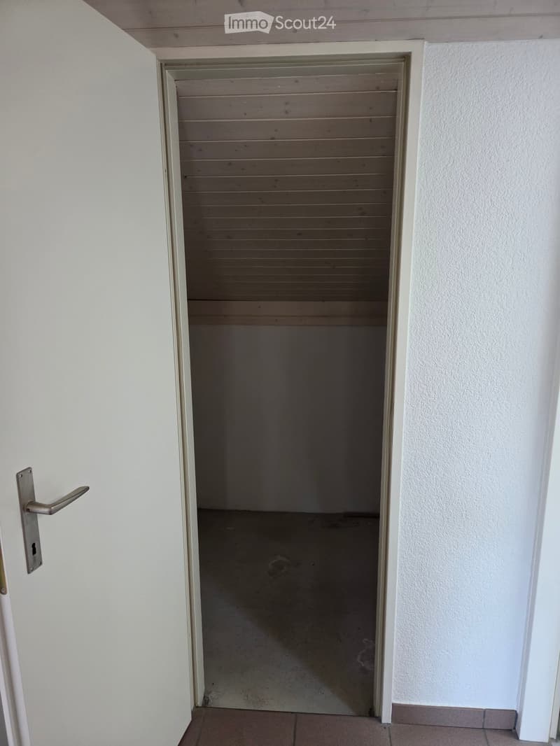 Empty room with white walls, tiled floor, and a closed wooden shutter door.