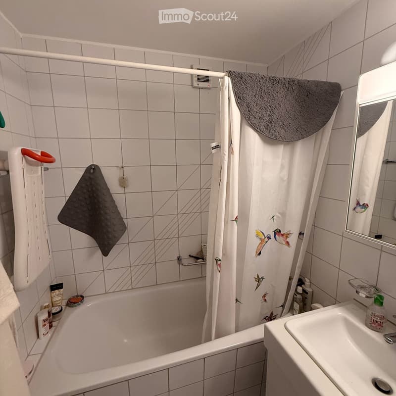 Appartement lumineux de 4.5 pièces avec vue à Lamboing (15)