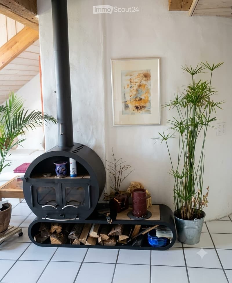 Modern living room with a black metal fireplace, wooden floor, potted plants, and a picture frame on the wall.